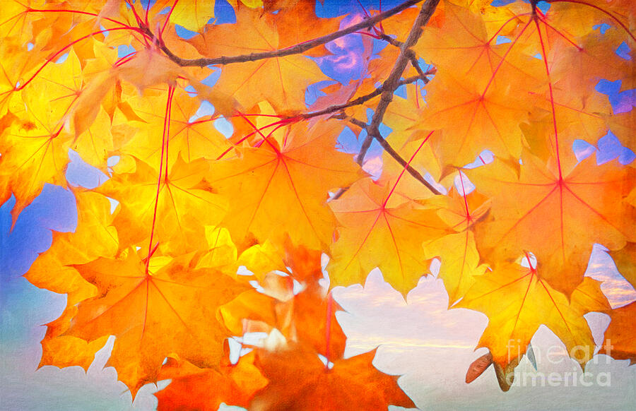 Autumn Brilliance Digital Art by Jean OKeeffe Macro Abundance Art