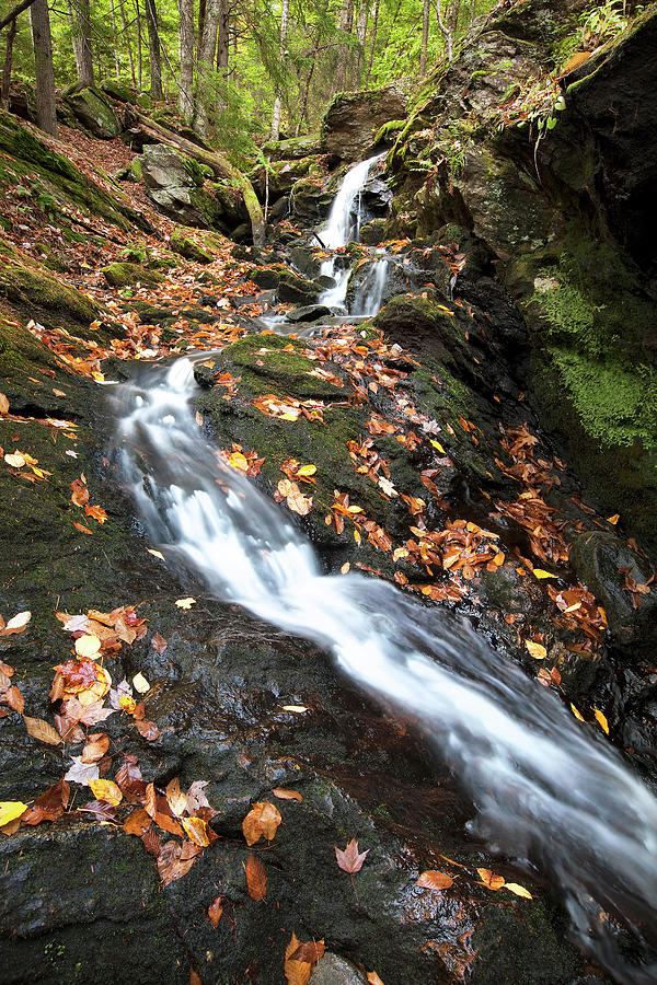 Autumn Brook Photograph by Eric Gendron