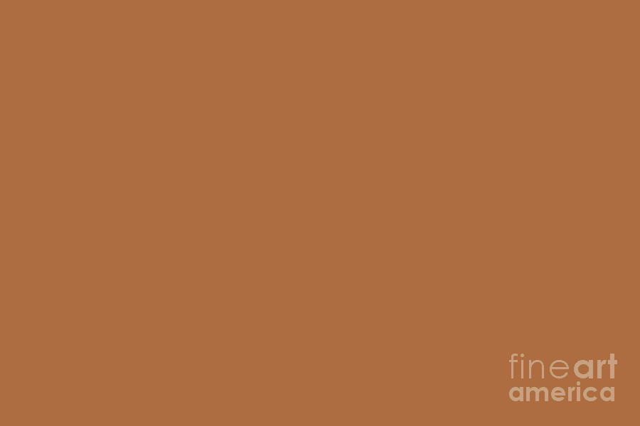 Autumn Brown Solid Color Pairs Sherwin Williams Gingery SW 6363 Digital Art by PIPA Fine Art - Simply Solid