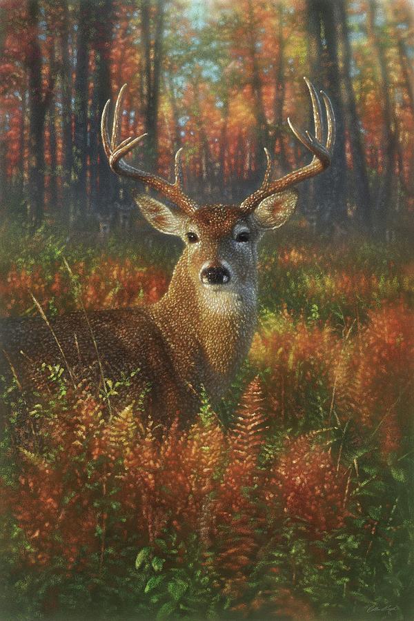Autumn Buck - Whitetail Deer Painting by Collin Bogle