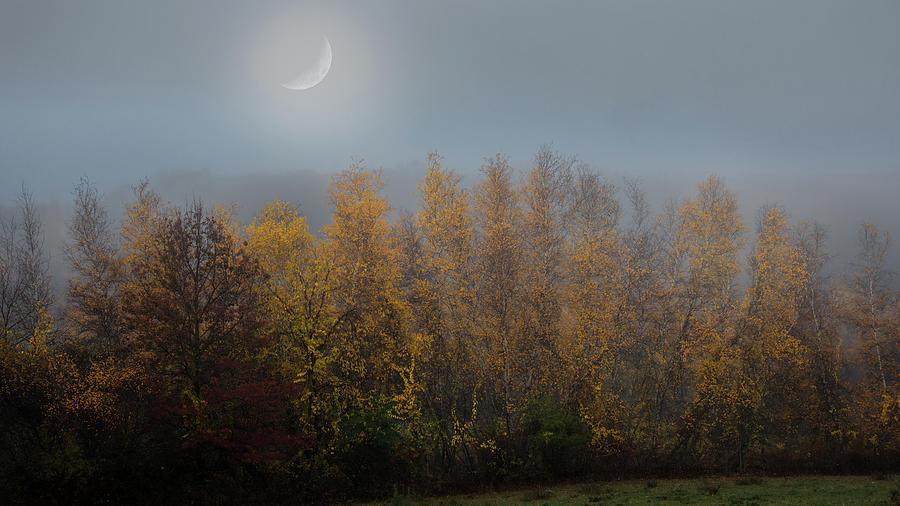 Autumn by Moonlight Photograph by Bill Wakeley