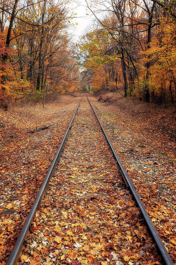 Autumn by Rail Photograph by Susan Rissi Tregoning