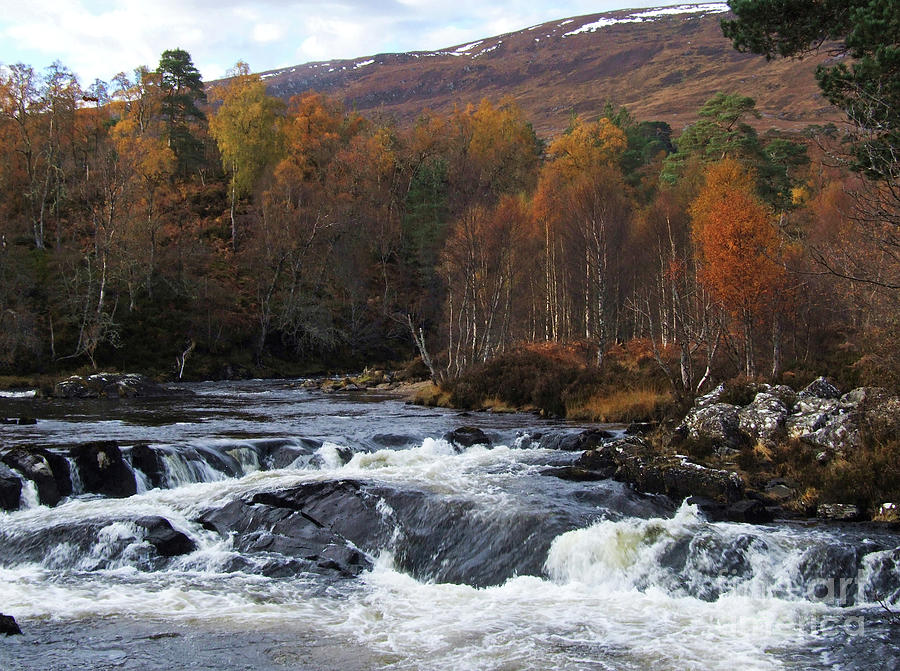 Autumn by River Affric Photograph by Phil Banks
