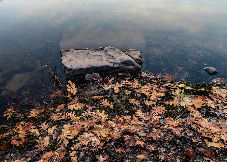 Autumn By The Lake Photograph by Amelia Pearn