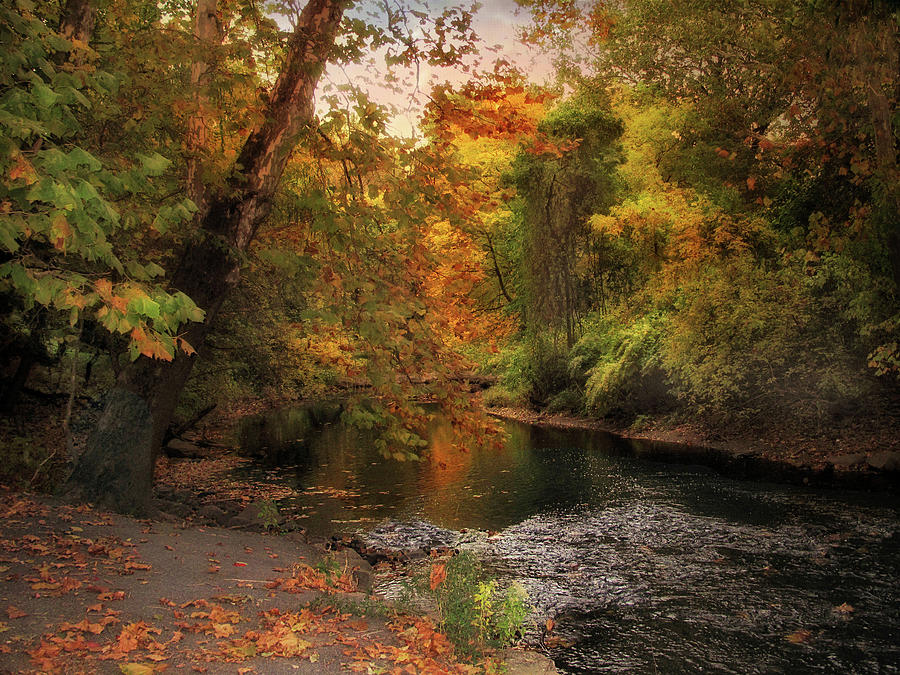 Autumn by the River Photograph by Jessica Jenney