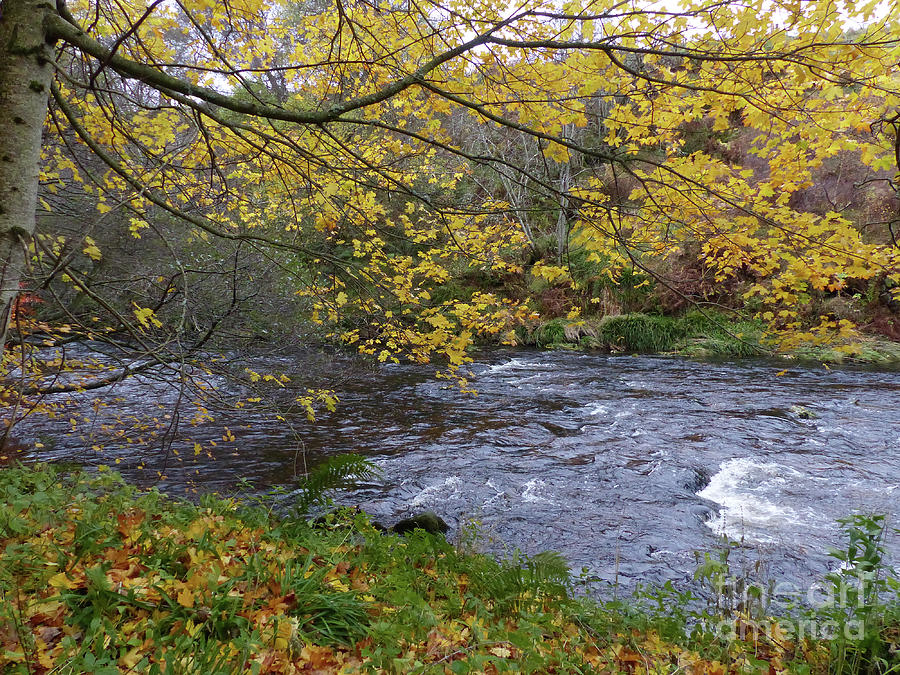 Autumn by the River Livet - Banffshire - Scotland Photograph by Phil Banks