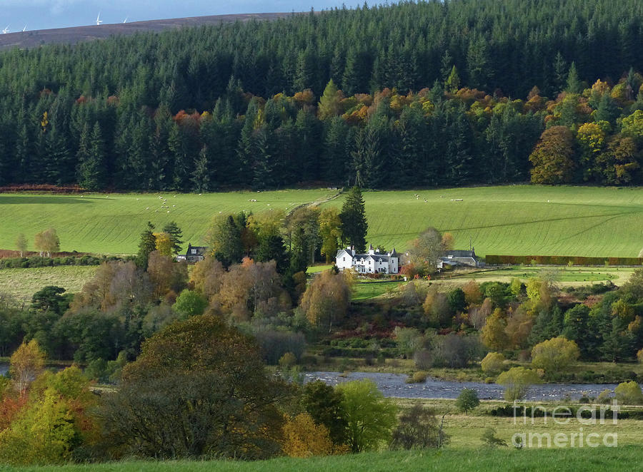 Autumn by the River Spey at Pitchroy Photograph by Phil Banks