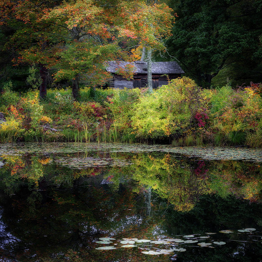 Cabin Photograph - Autumn Cabin by Bill Wakeley