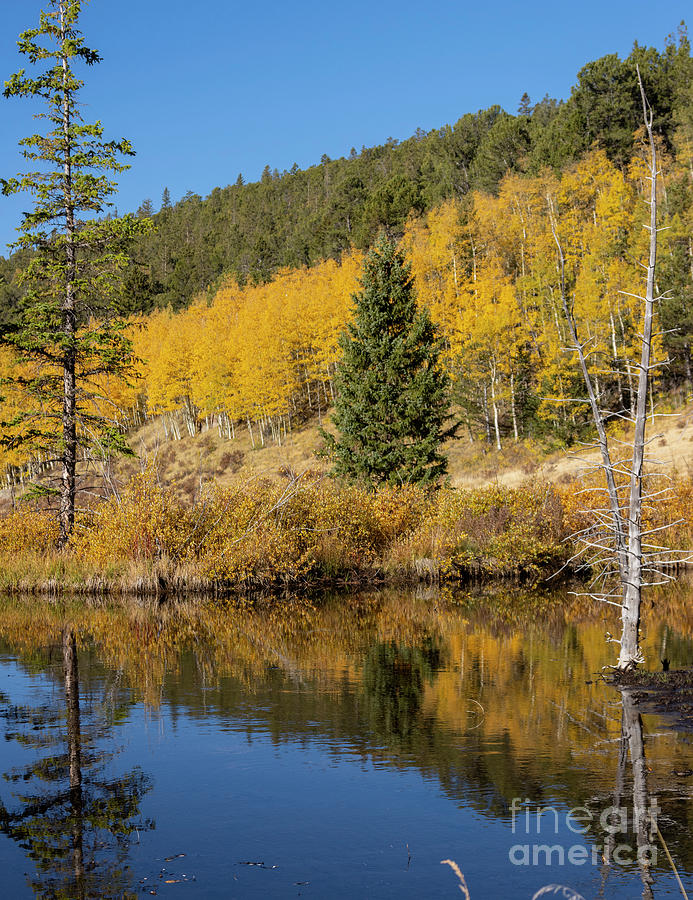 Autumn Calm on Anne-Marie Falls Trail Photograph by Steven Krull