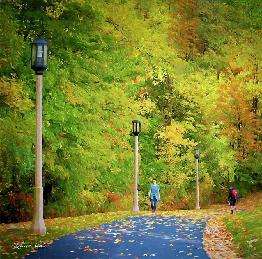 Autumn Campus Photograph by Rebecca Samler