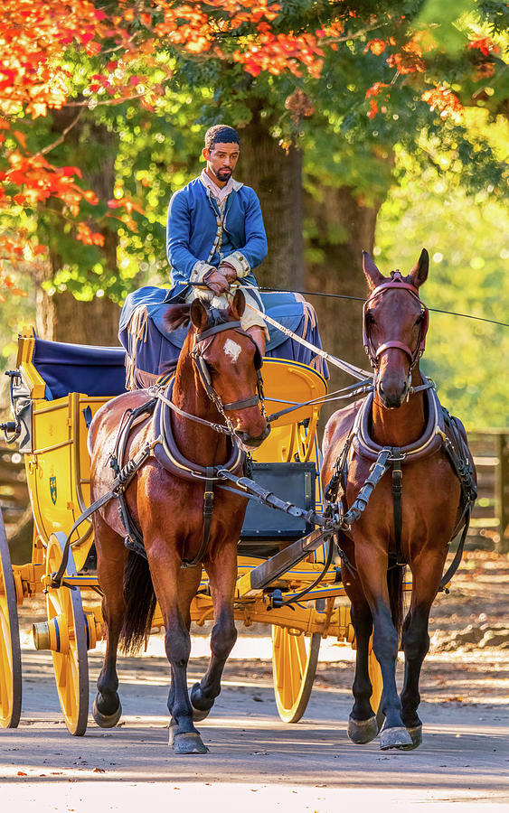 Autumn Carriage in Williamsburg Photograph by Rachel Morrison