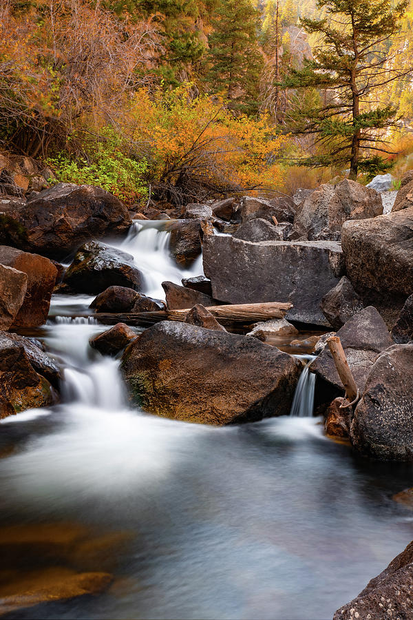 Autumn Cascade Along Boulder Creek Photograph by Gregory Ballos