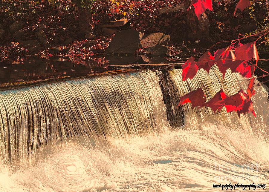 Waterfall Photograph - Autumn Cascade by Tami Quigley