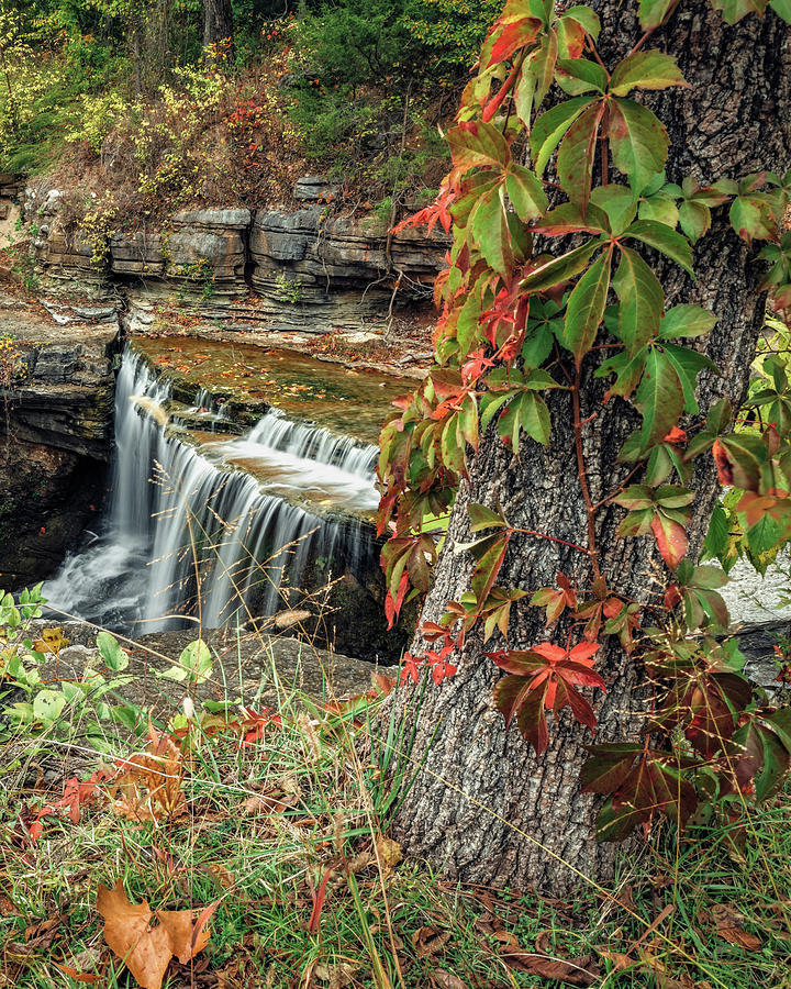 Autumn Cascades At Pinion Creek Falls Photograph by Gregory Ballos