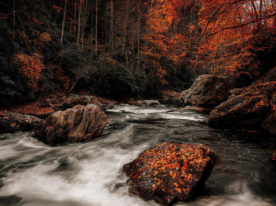 Autumn Cascades Blue Ridge Parkway Photograph by Dan Sproul