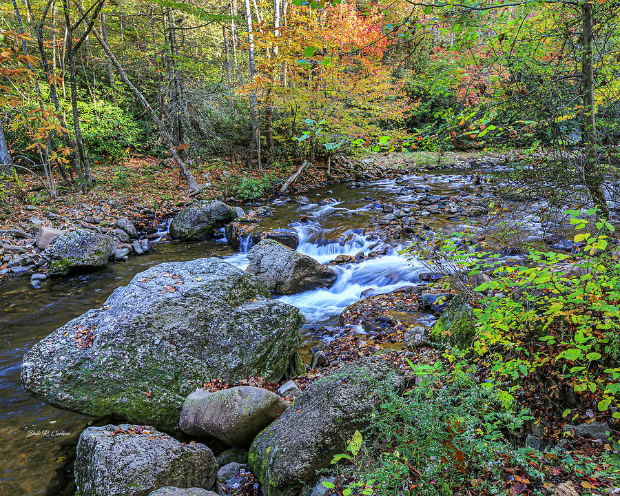 Autumn Cascades Photograph by Dale R Carlson