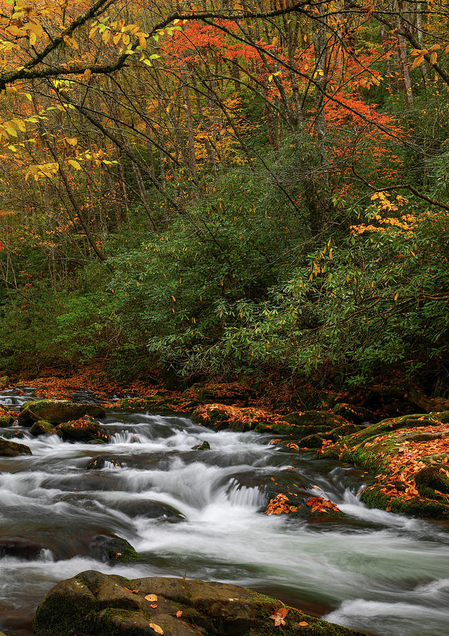 Autumn Cascades In The Smokies Photograph by Dan Sproul