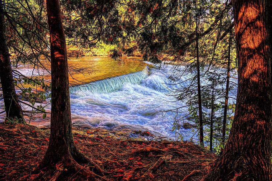 Autumn Cedars At Bond Falls Photograph by Dale Kauzlaric