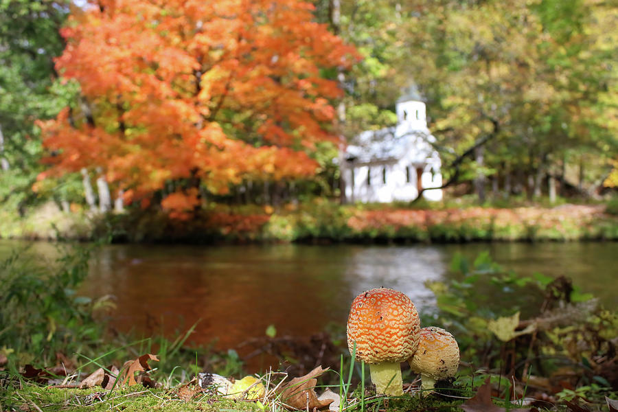 Autumn Chapel View Photograph by Brook Burling