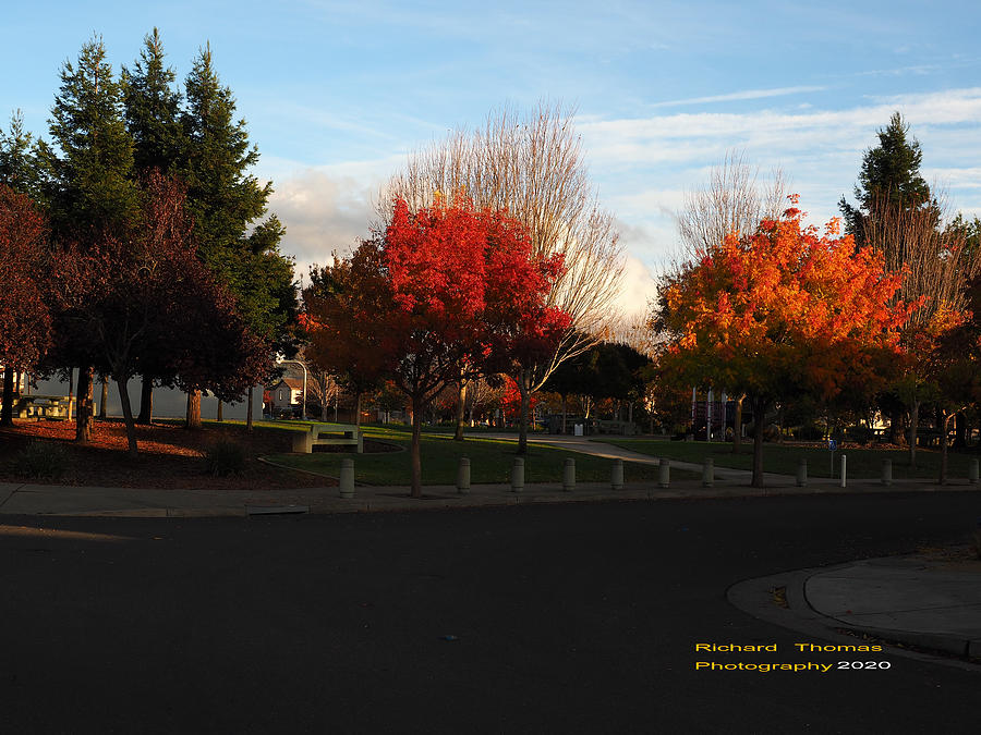 Autumn City Park Colors Photograph by Richard Thomas