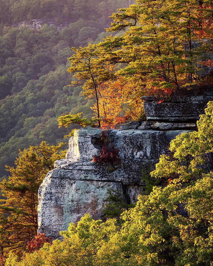 Autumn Cliff Photograph by SC Shank
