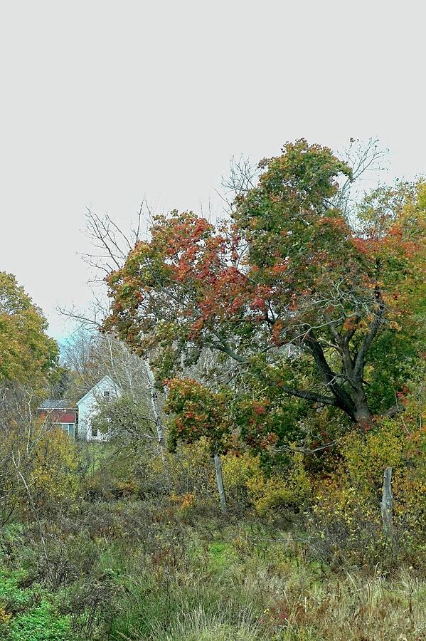 Autumn Closes in Photograph by Alan Norsworthy Autumn Closes in Photograph by Alan Norsworthy