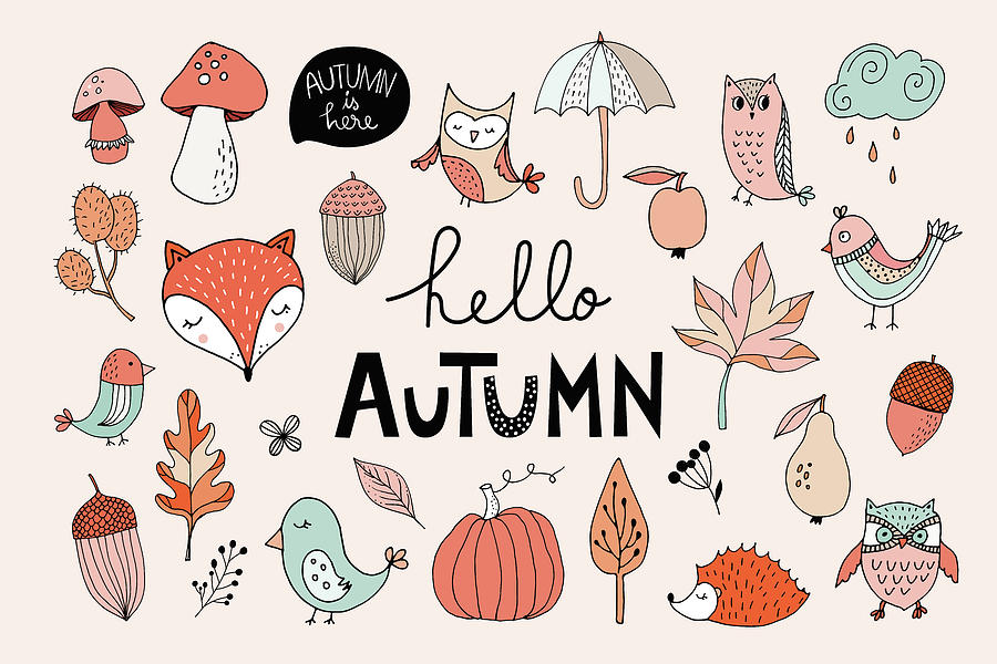 Autumn Collection With Hand  Drawn Seasonal Elements Drawing