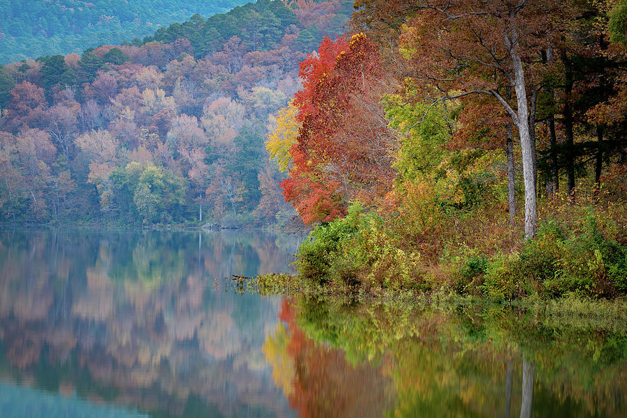 Autumn Color at Shores Lake Photograph by James Barber