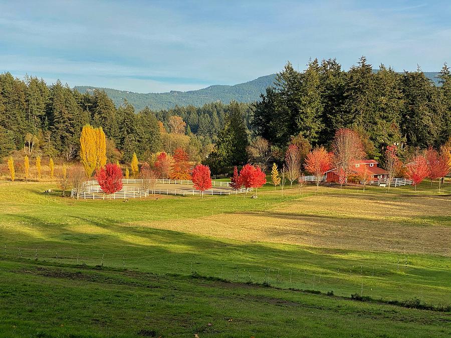 Autumn Color in Crow Valley Photograph by Jerry Abbott
