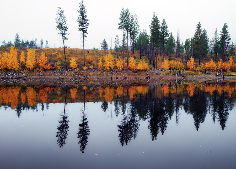 Autumn Color Reflection Photograph by Allan Van Gasbeck