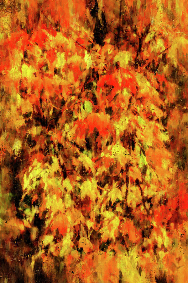 Autumn Colored Leaves Mixed Media Mixed Media by Dan Sproul
