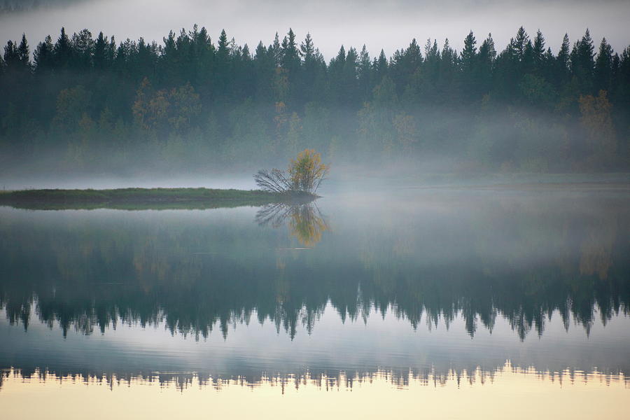 Autumn colored trees are growing at the shore of a misty and gla Photograph by Ulrich Kunst And Bettina Scheidulin