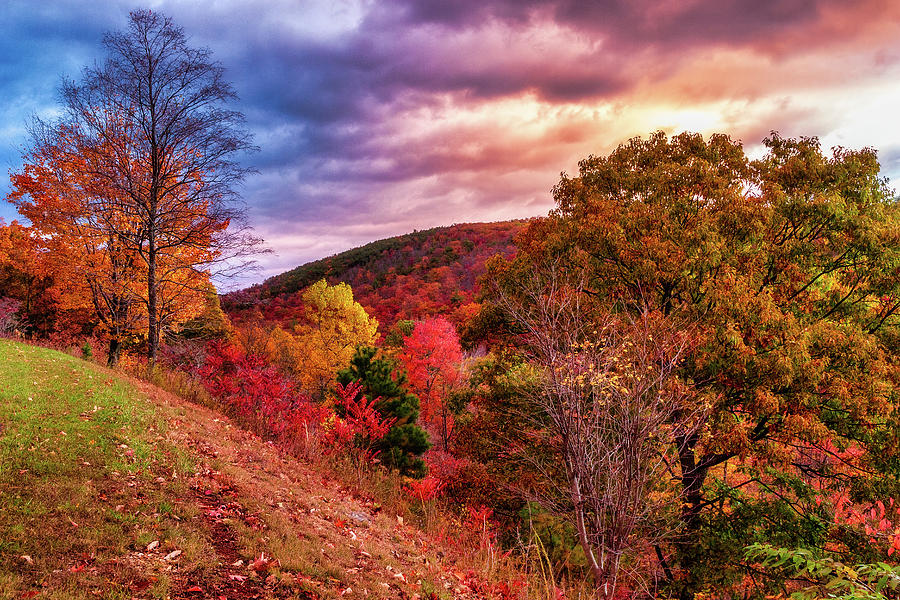 Autumn Colorful Mountain Colorful Sky Photograph by Dan Carmichael