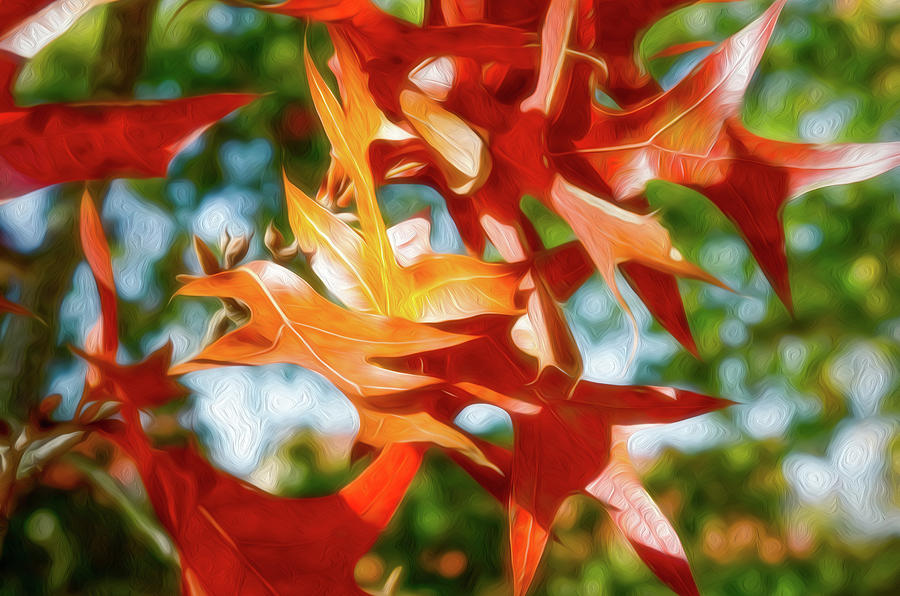 Autumn Colors-2 Digital Art by John Kirkland