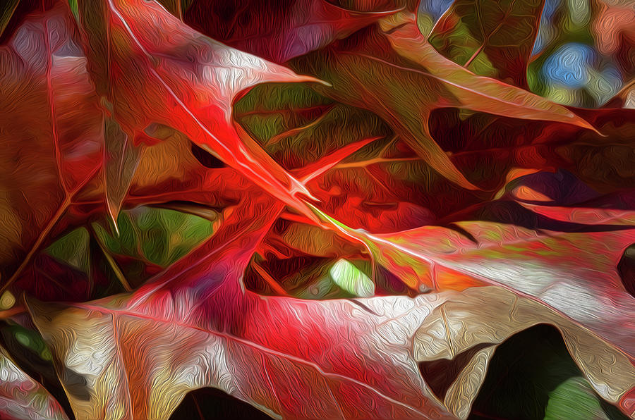 Autumn Colors-6 Digital Art by John Kirkland
