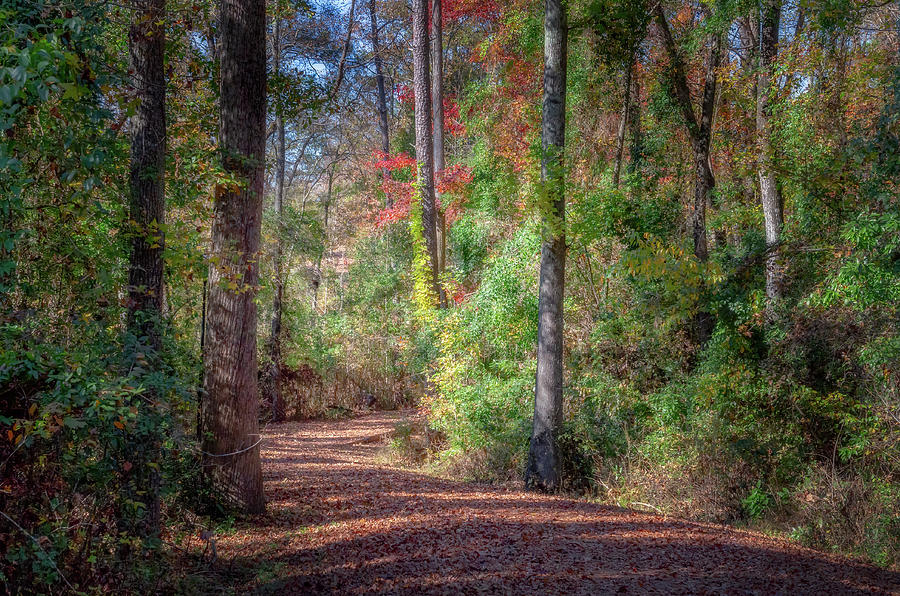 Autumn Colors-7 Photograph by John Kirkland