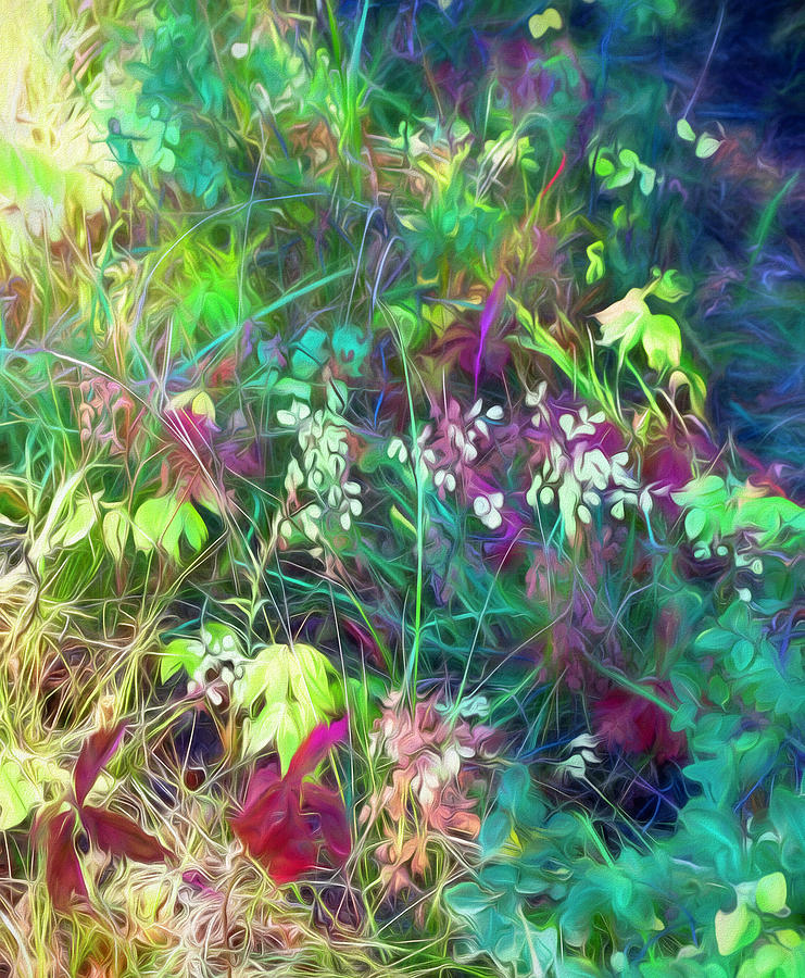 Fall Photograph - Autumn Colors Abstract by Diane Alexander