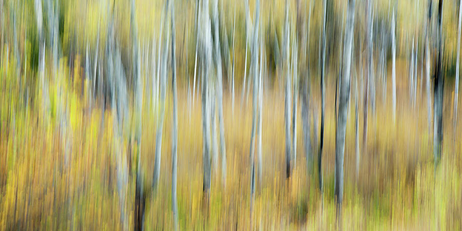 Abstract Photograph - Autumn Colors Abstract by Linda McRae