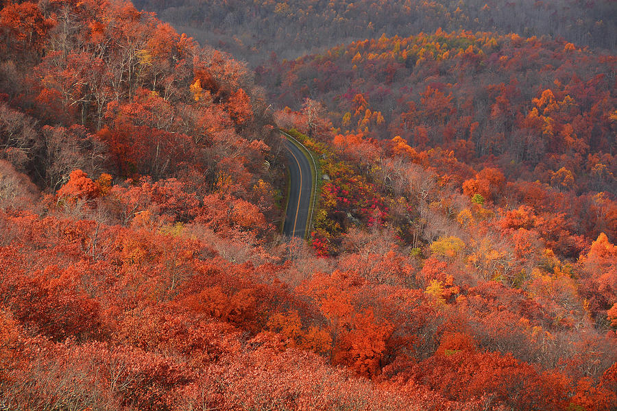 Autumn Colors and Blue Ridge Parkway Photograph by Raymond Salani III