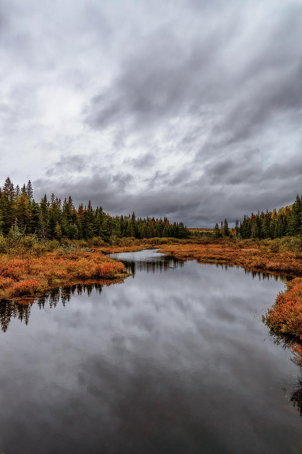 Autumn colors and heavy clouds Photograph by Murray Rudd