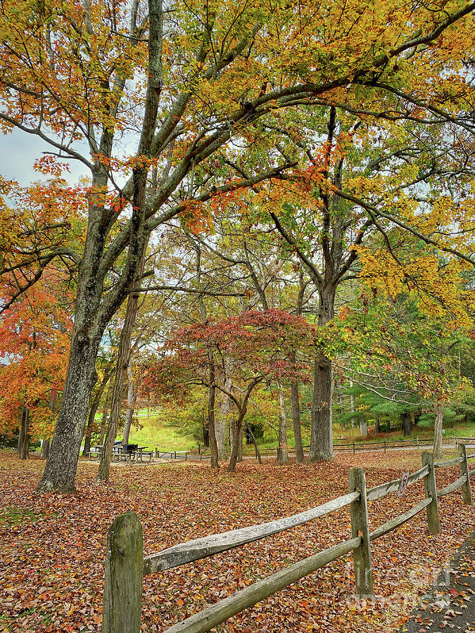 Autumn Colors at Claytor Lake State Park Photograph by Kerri Farley