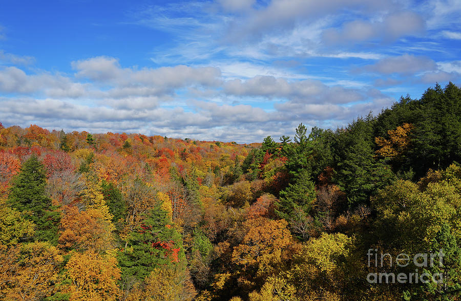 Autumn Colors At Cut River Photograph by Rachel Cohen