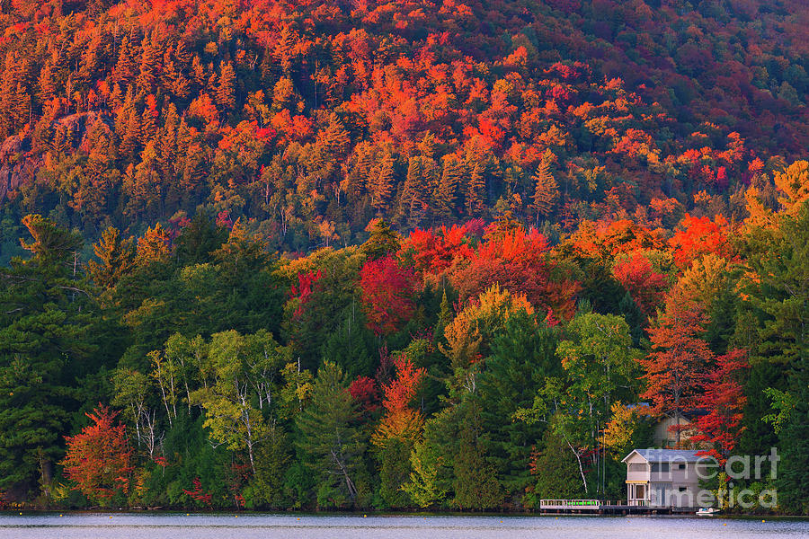 Autumn colors at Lake Placid in Adirondacks State Park Photograph by Henk Meijer Photography