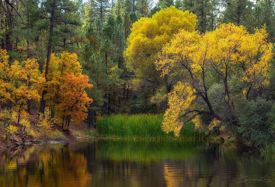 Autumn Colors at Lynx Lake Photograph by Geno