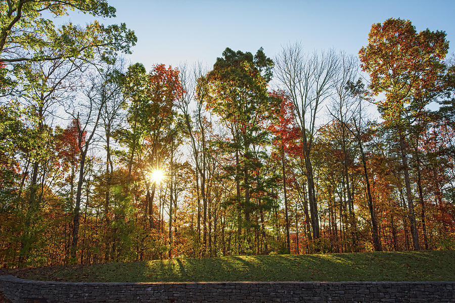 Autumn Colors at Sunrise - Natchez Trace Photograph by Debra Martz