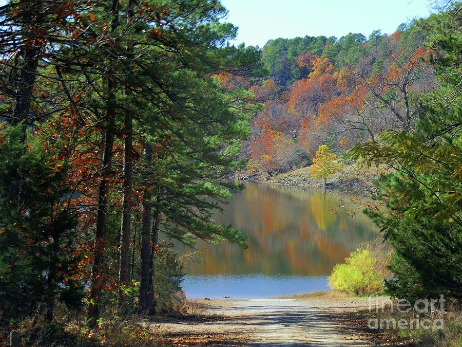 Autumn Colors At The Lake Photograph