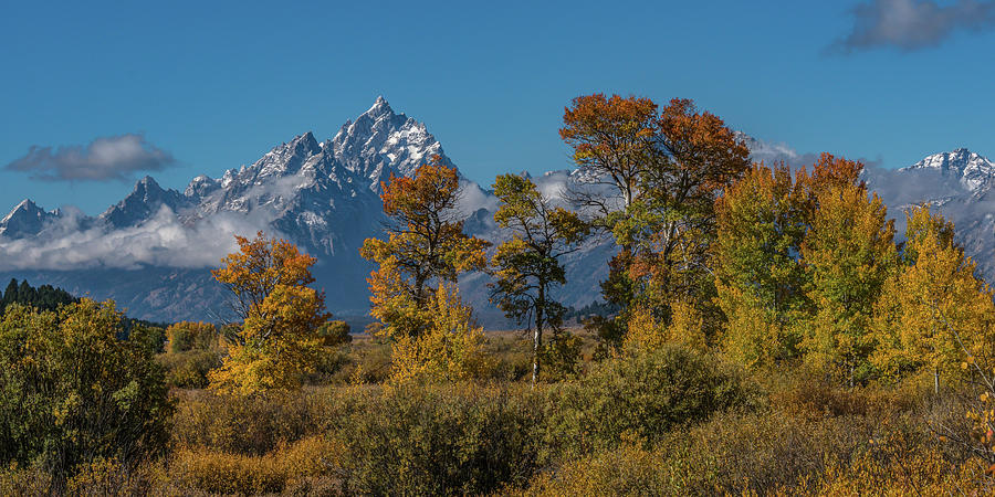 Autumn Colors At The Tetons Photograph by Yeates Photography