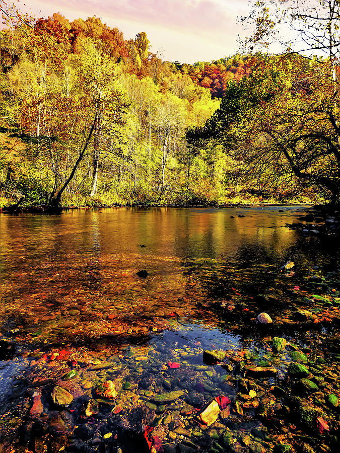 Autumn Colors By The River Photograph