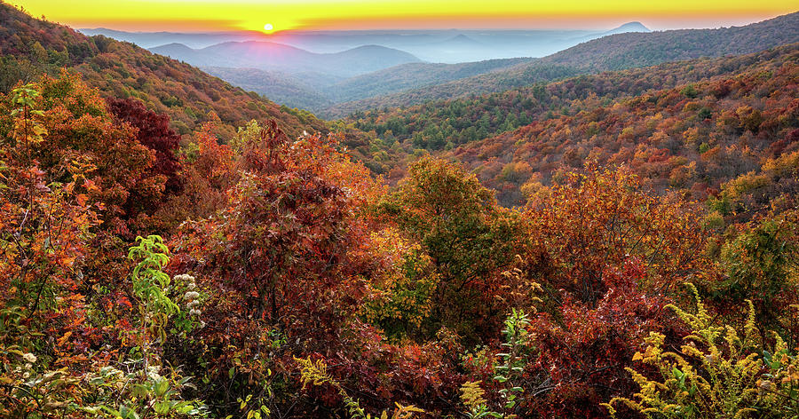 Autumn Colors Photograph by David R Robinson