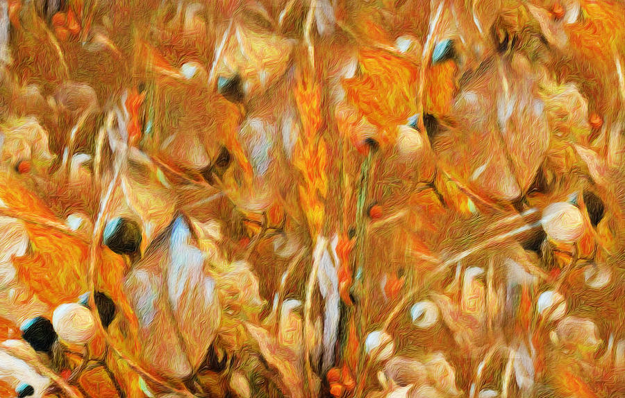 Autumn Colors in Abstract Photograph by Diane Lindon Coy